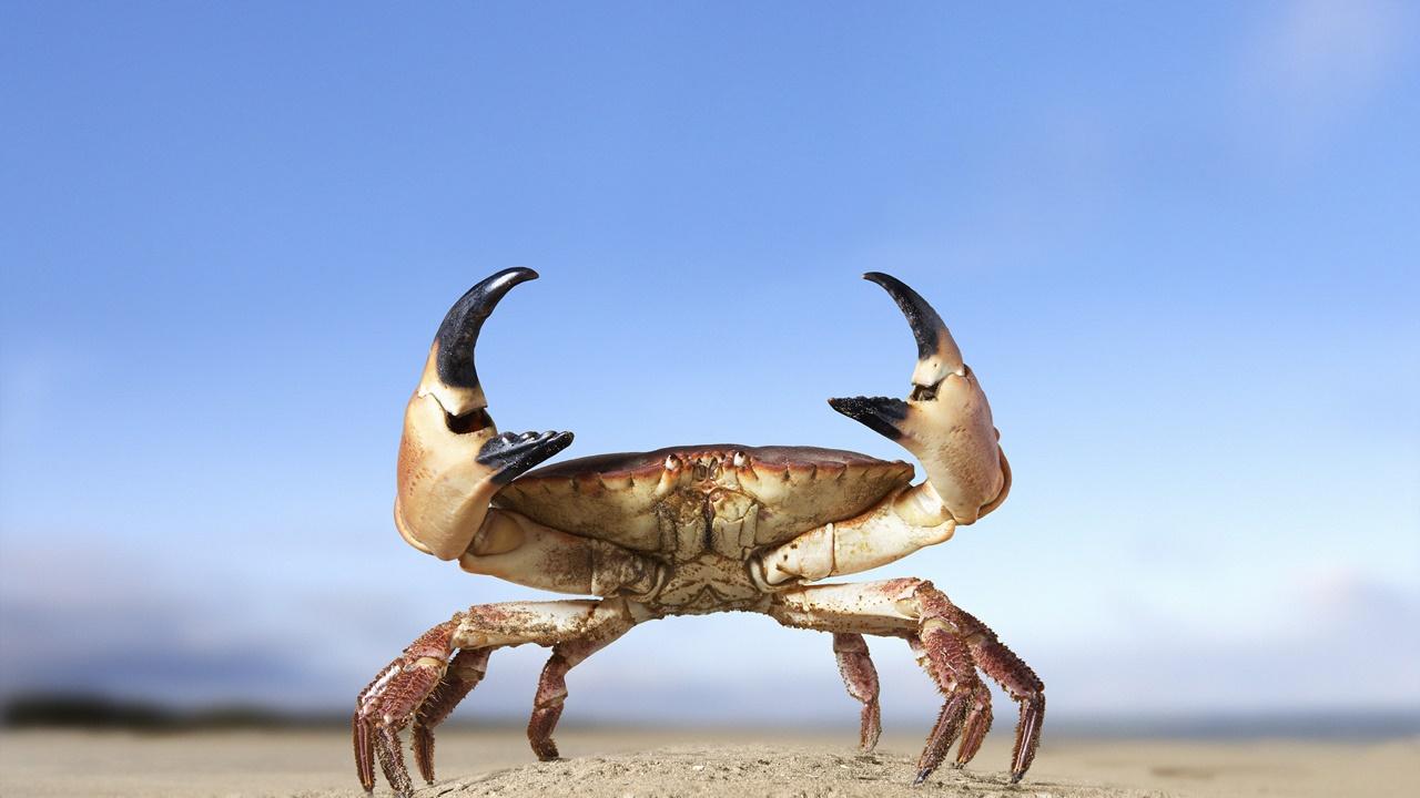 山西高中生傳「螃蟹夾下體」，唔交保護費打到凌晨。(網上圖片)