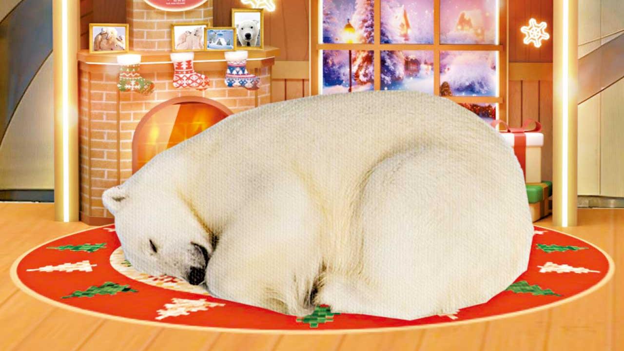 YM²裕民坊化身極地小鎮 7大北極熊打卡位