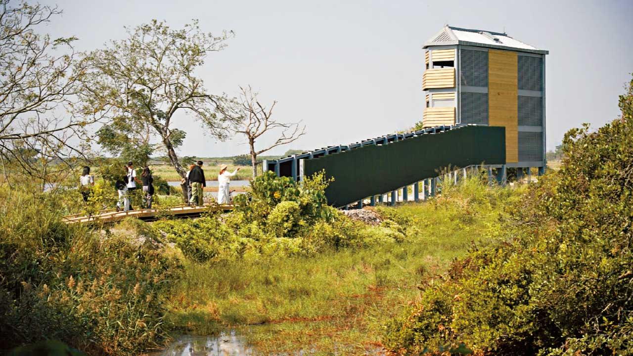 重建訪客中心 增鳥屋 設無障礙木棧道 米埔新訪客中心昨開幕