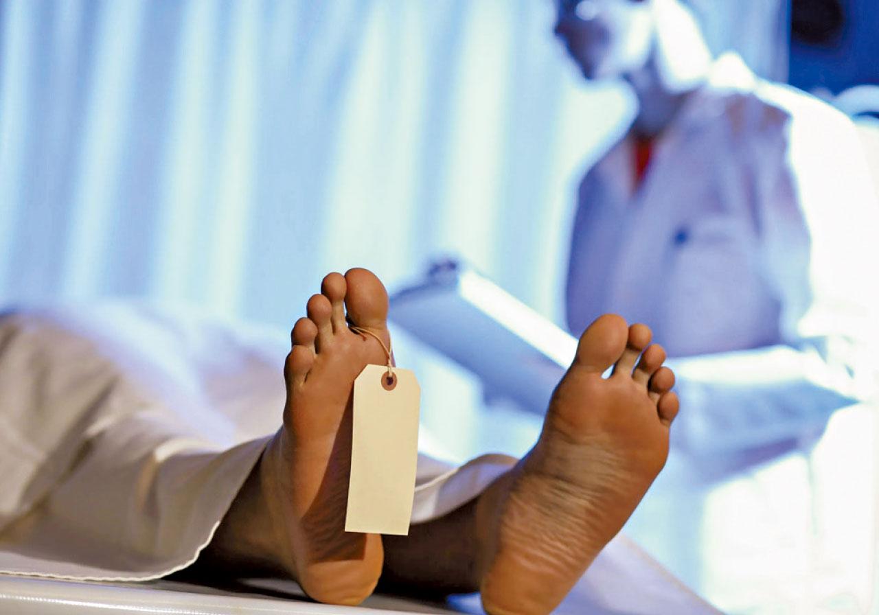 大體大得 生生不息