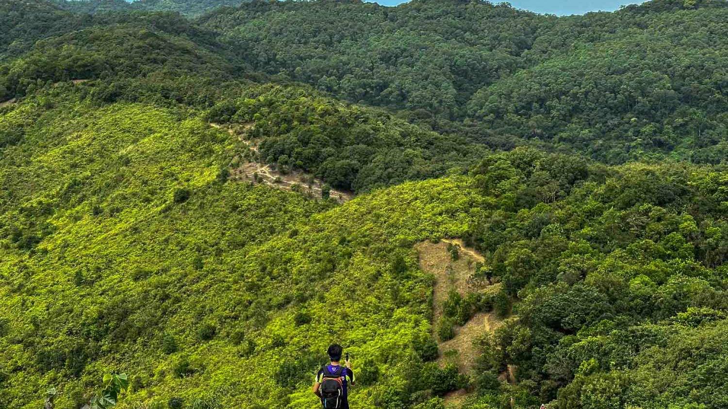 九肚山行山豪宅級海景　芒草與山谷樂而忘返