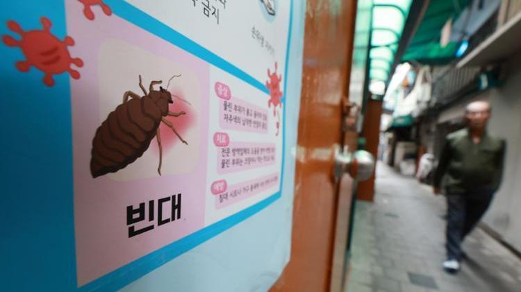 床蝨｜永安：南韓團如發現活床蝨可退團費　今年暫無接獲床蝨報告