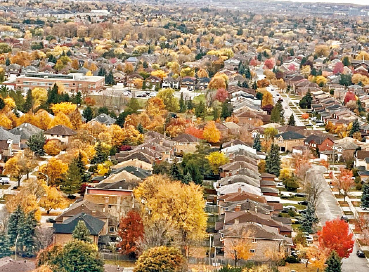 落葉在身上的密碼？