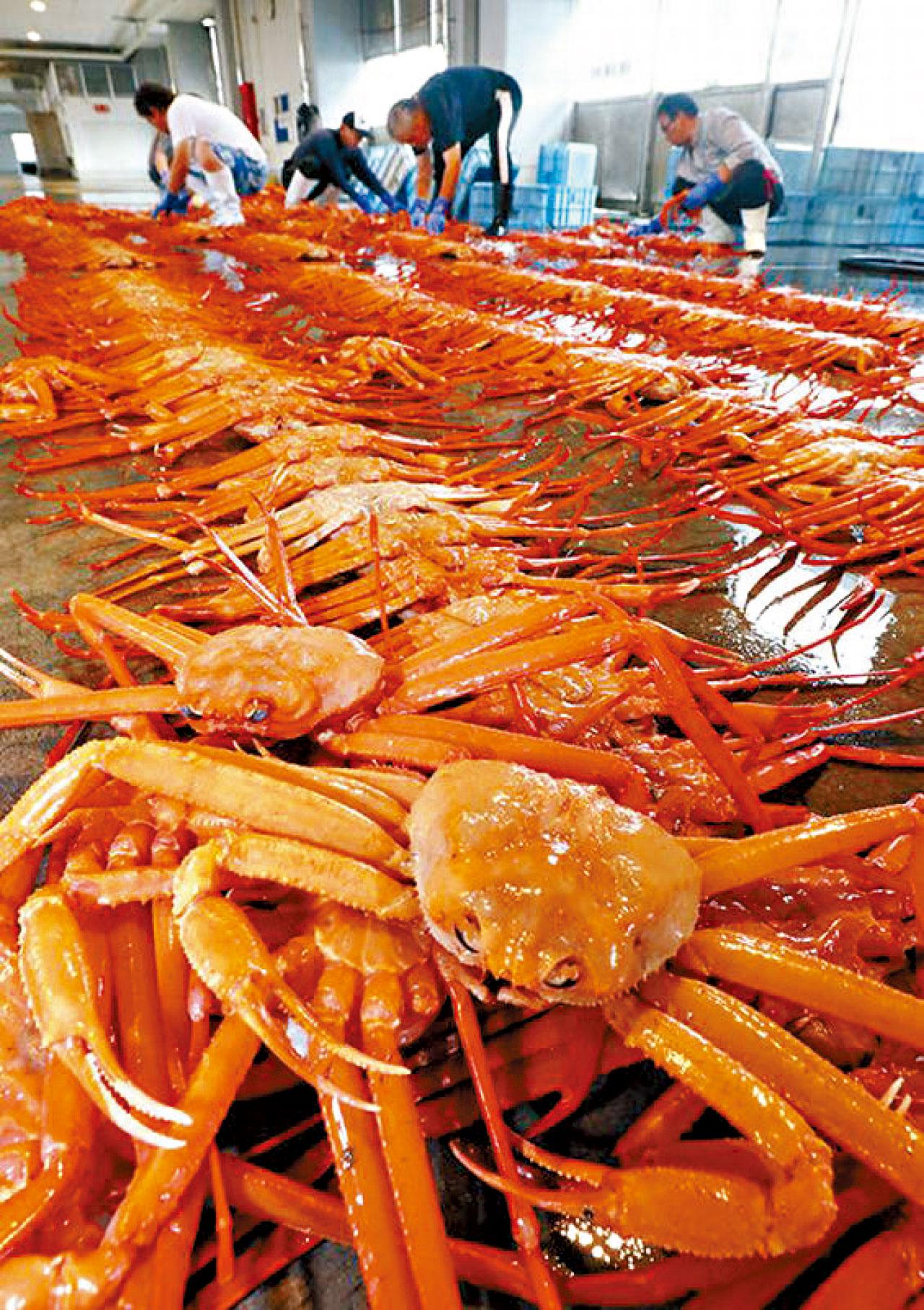 北歐四國+日本昇龍道聖誕遊 拜訪聖誕老人村 品嚐富山紅楚蟹