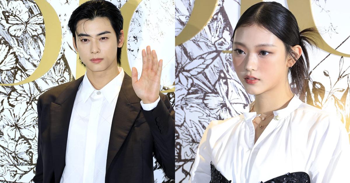 車銀優NewJeans成員Haerin現身唔夠5分鐘 fans衝出馬路追星險象環生