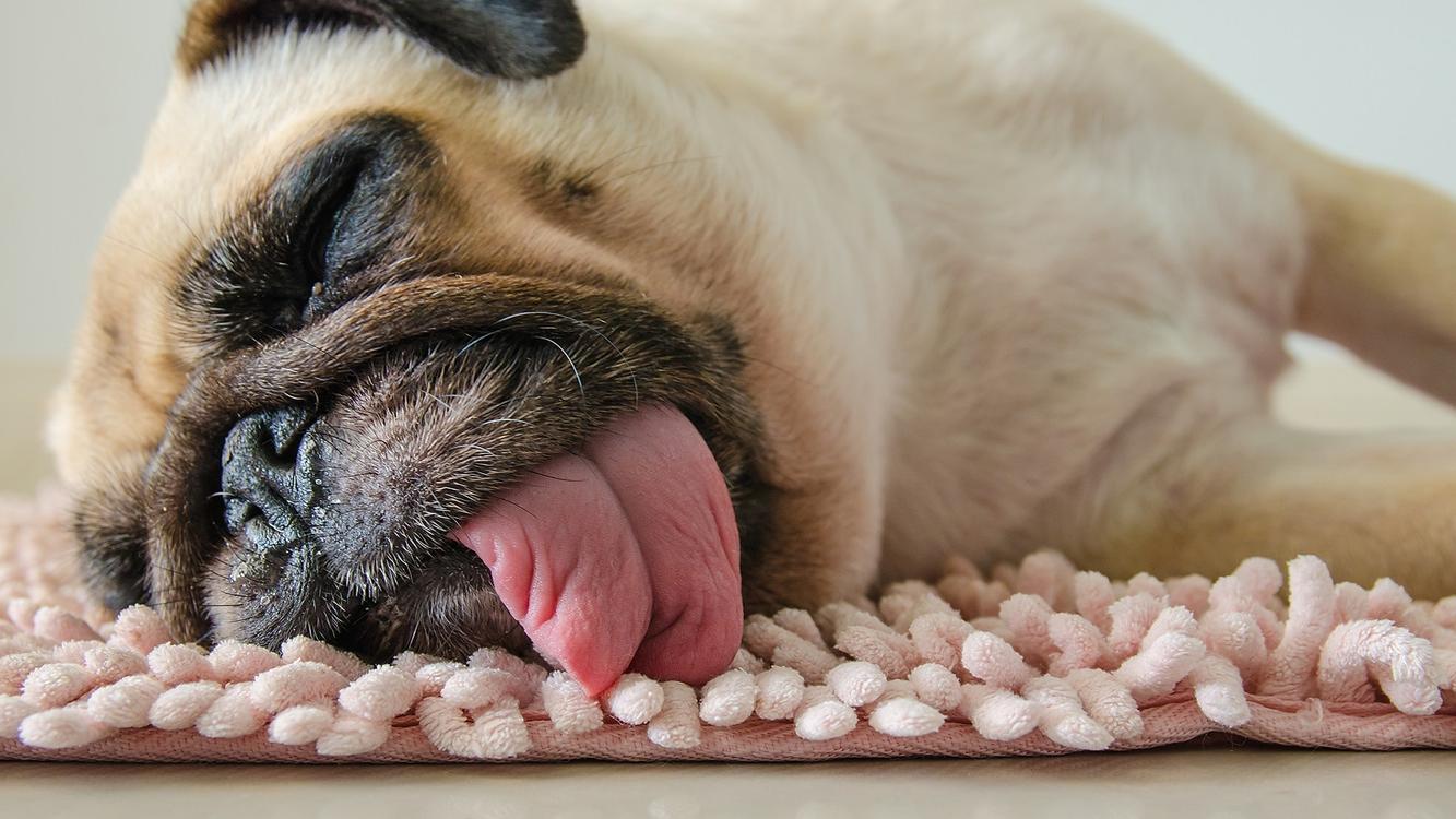 消除疲勞方法｜9個飲食及生活習慣助你對抗過勞侵襲