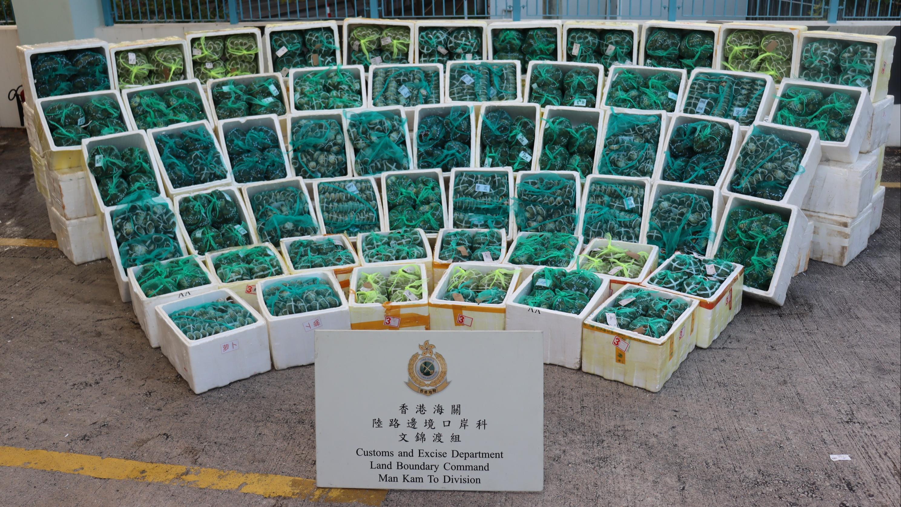 大閘蟹2023｜海關於文錦渡管制站檢獲約3.4噸走私大閘蟹　估計市值約230萬元