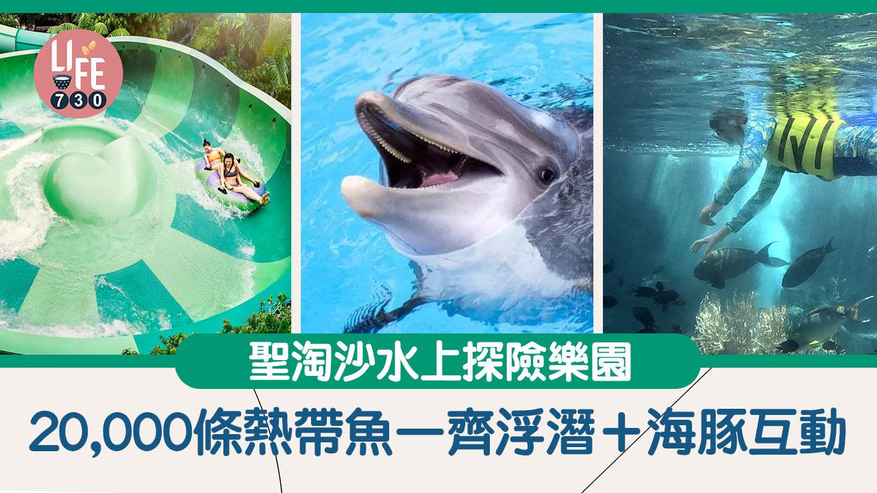 新加坡旅遊好去處｜聖淘沙水上探險樂園 20,000條熱帶魚一齊浮潛＋海豚互動