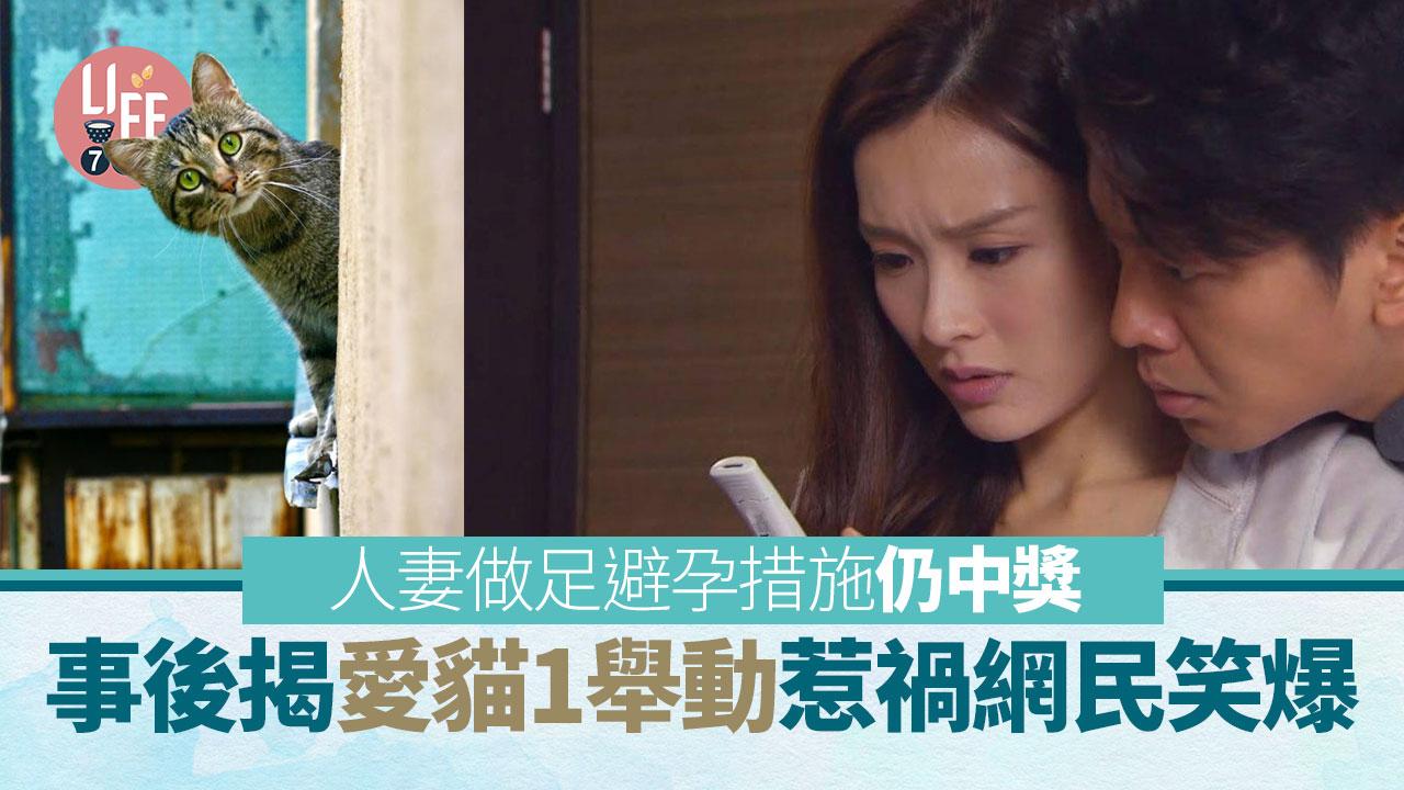夫妻做足避孕措施仍中招 愛貓1舉動惹禍 網民：想要小奴才
