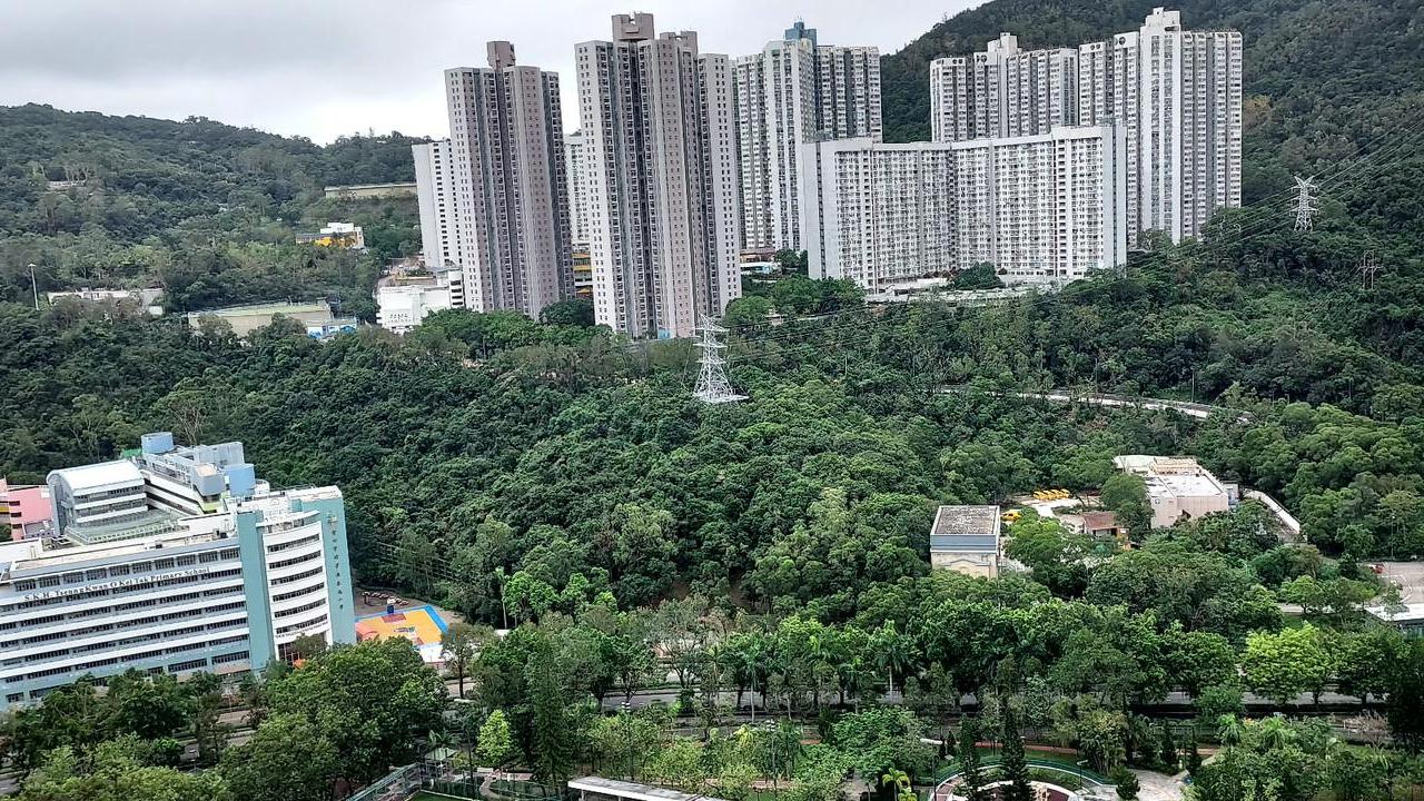 單位享開揚翠綠山景，景觀不俗。(代理提供)