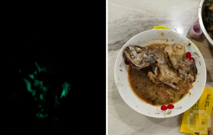 寧波市一名網民在深夜發現家中吃剩的紅燒魚發出綠色螢光。有知名水產科普博主解釋，應該是魚感染了發光細菌，雖然無害，但不建議食用。