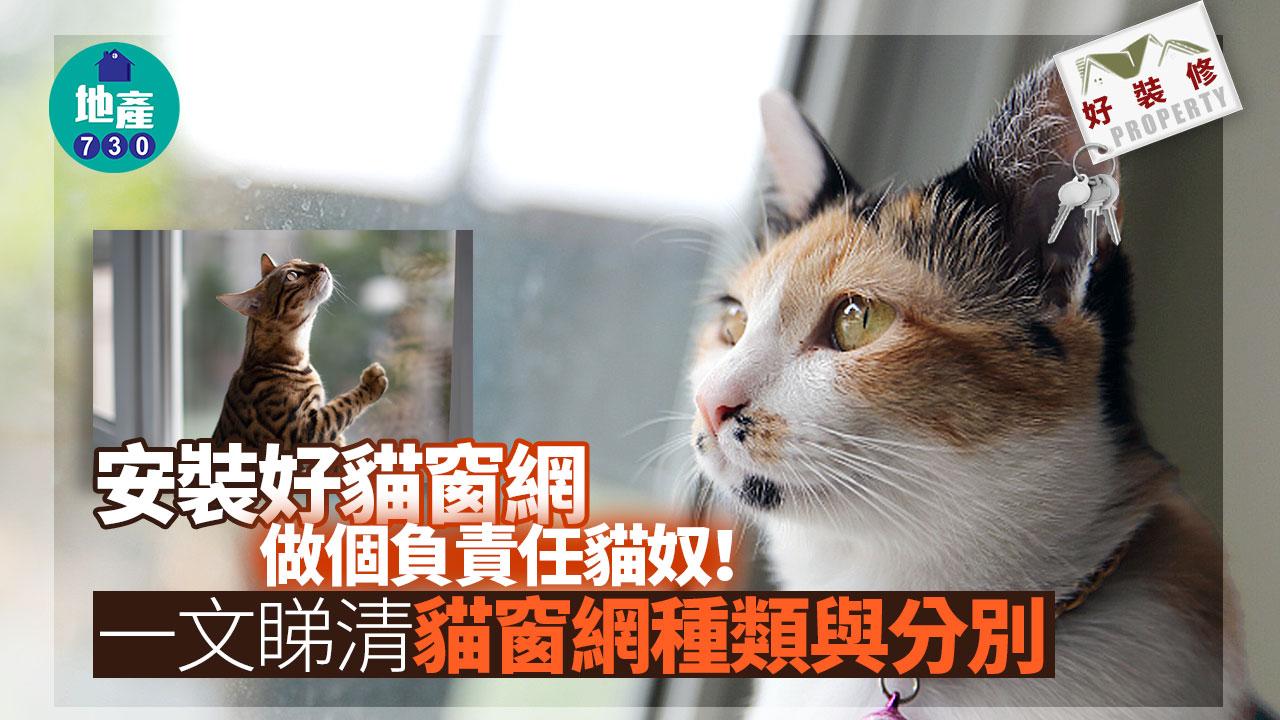 貓窗種類｜金鋼網/透明窗特點 同蚊網有乜分別？好裝修（am730製圖）