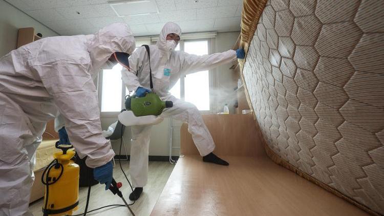 南韓床蝨｜本港旅遊業指暫未聽聞酒店出現蝨患　學者不建議用滅蝨彈