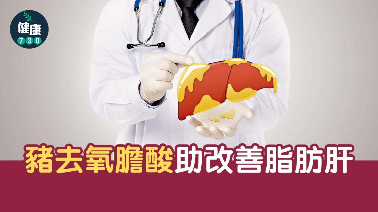 豬去氧膽酸助改善脂肪肝