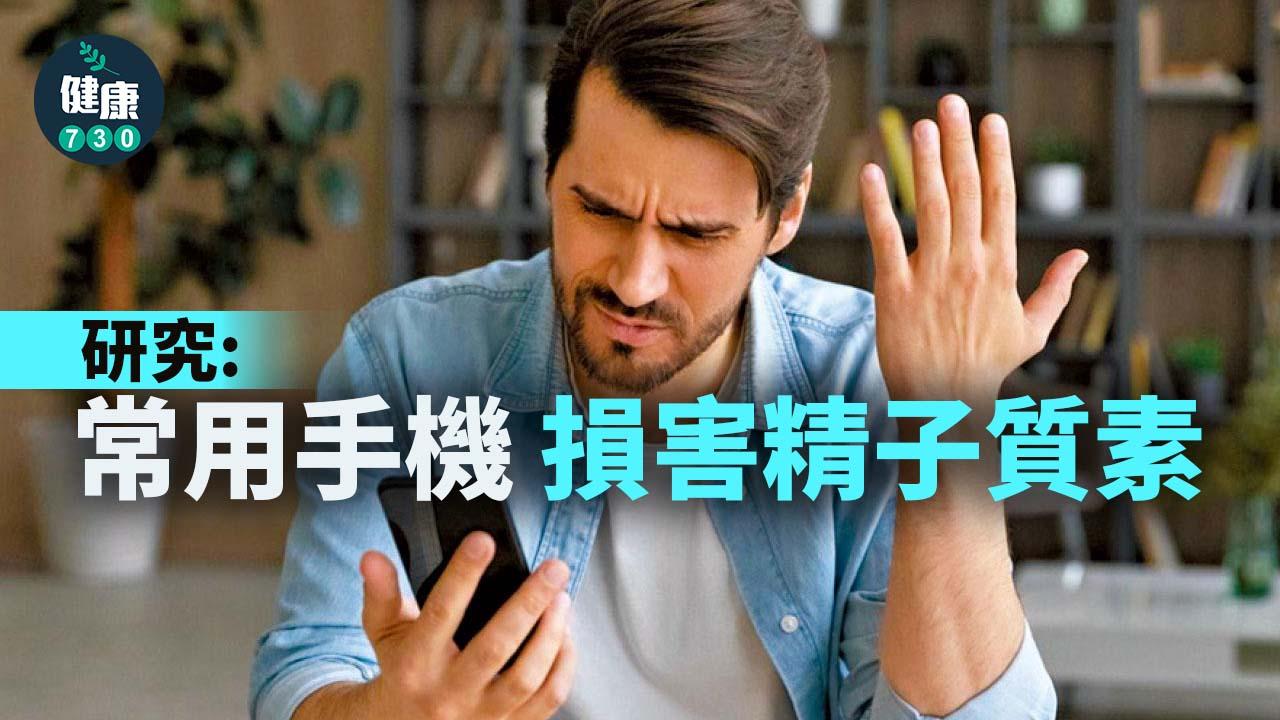 研究：常用手機 損害精子質素