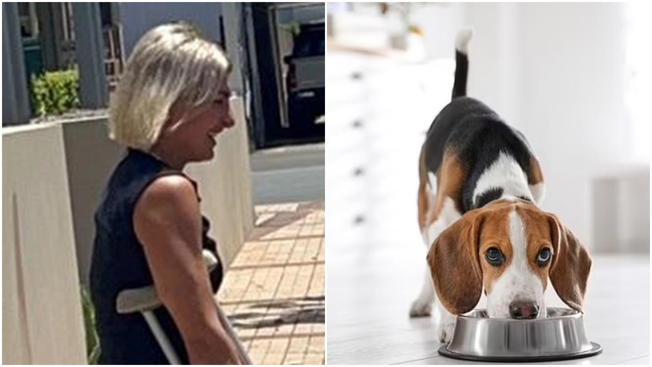 澳洲女性侵2寵物犬兼拍片，聲稱因男友要求。(X)