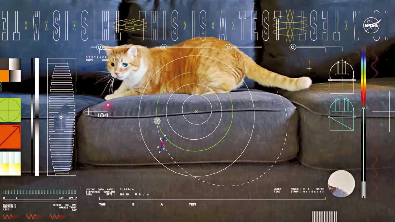 激光傳輸技術突破 NASA深空傳回高清貓片