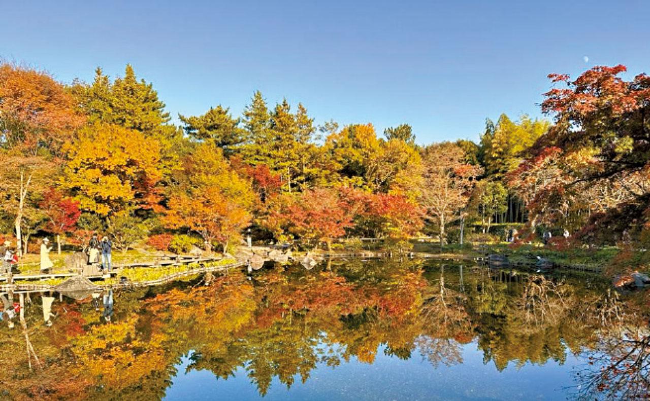 家人開心便開心