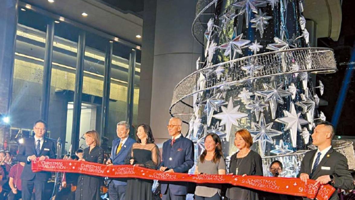 花園道上的聖誕樹