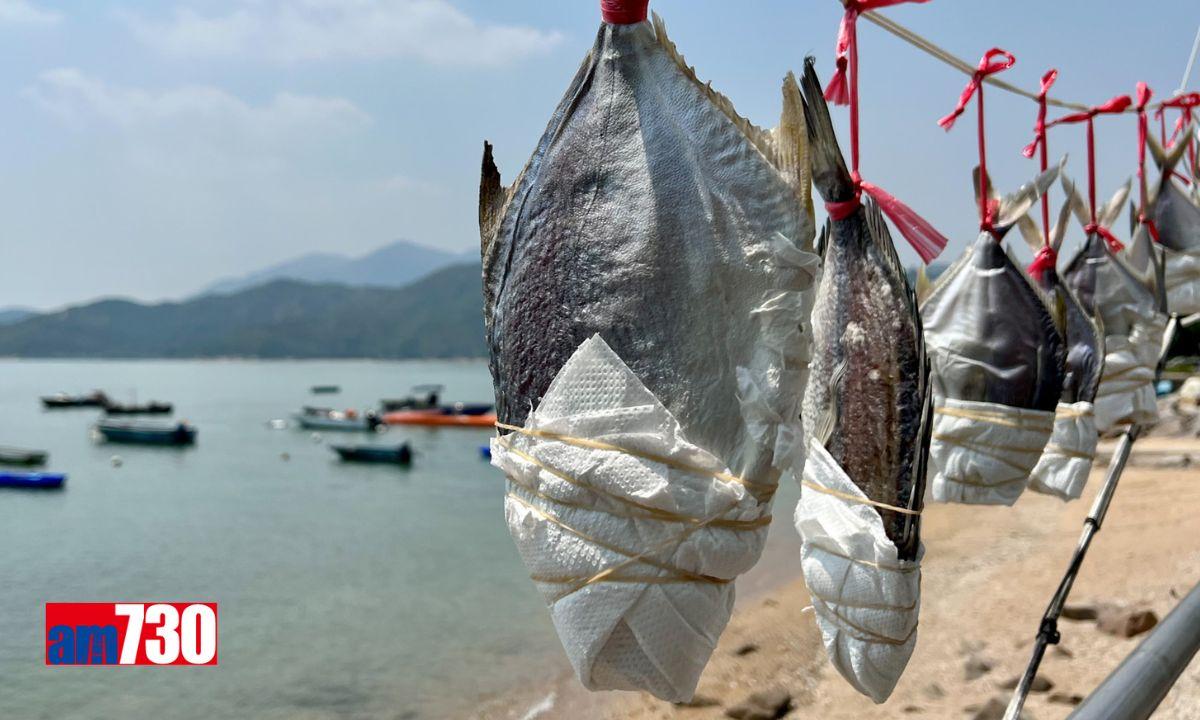 坪洲一日遊 行山美食日落藝術包攬(附船期表)