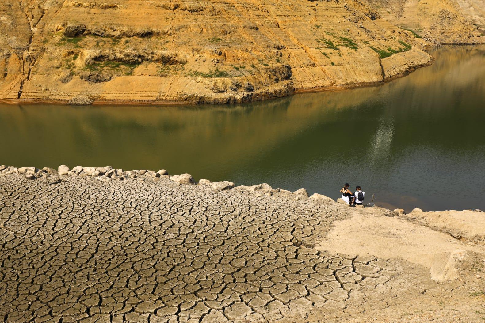 城門水塘22歲青年行山時遭馬騮抓傷 朋友擔憂報警