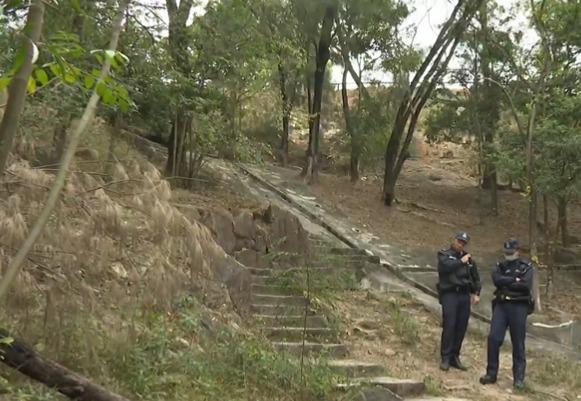 元朗大棠山道六旬婦行山睇紅葉　樓梯上仆倒死亡