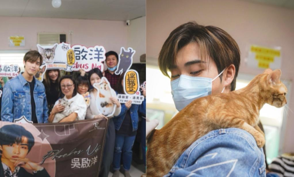 吳啟洋Phoebus親自餵貓兼清潔 粉絲：我都想做隻貓