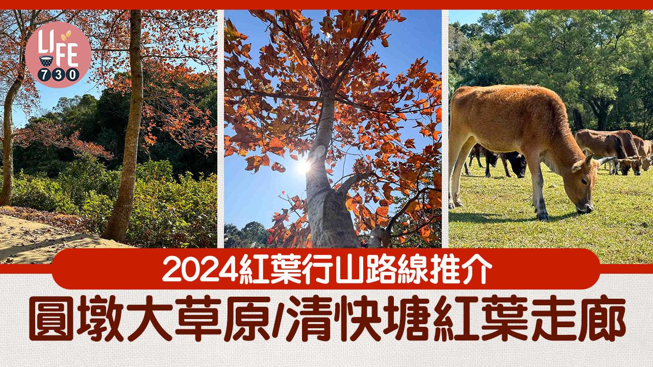 紅葉行山︱圓墩大草原韓劇式黃葉 遊清快塘紅葉走廊