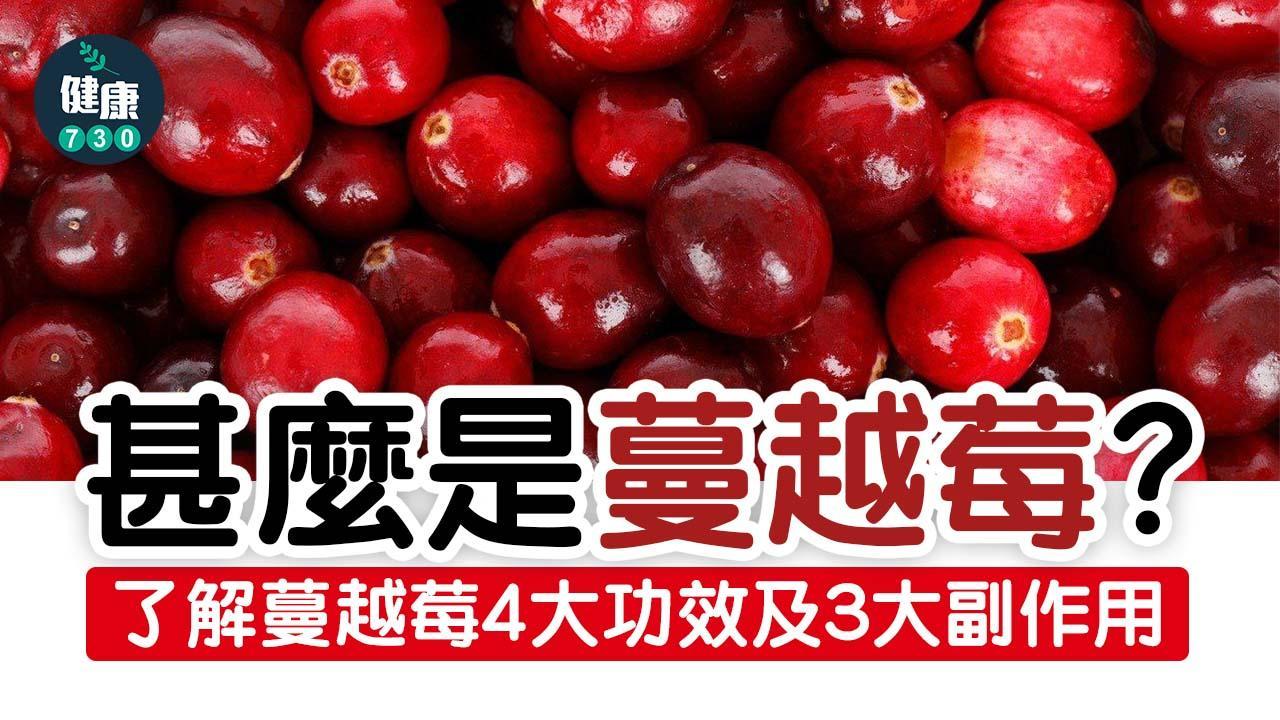 蔓越莓功效多女性恩物 預防尿道炎及心臟病 3大副作用是甚麼？（am730製圖）