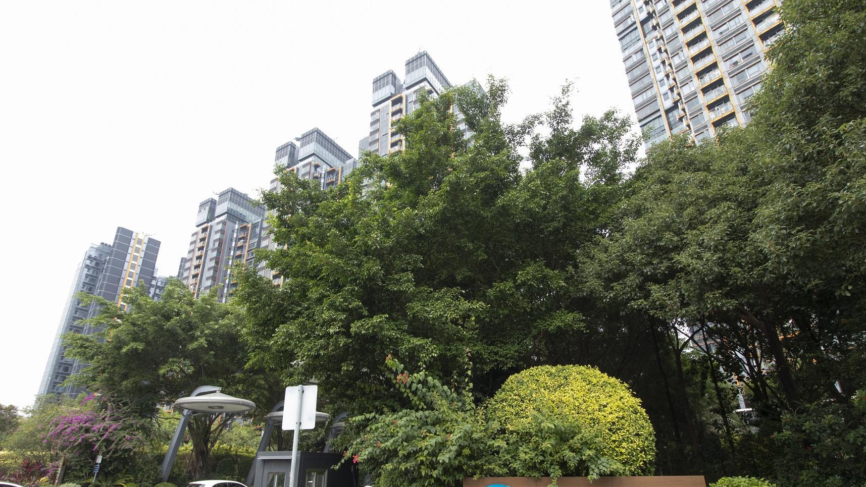 馬鞍山區12月交投量與上月同期相若，其中迎海本月暫錄4宗買賣成交。