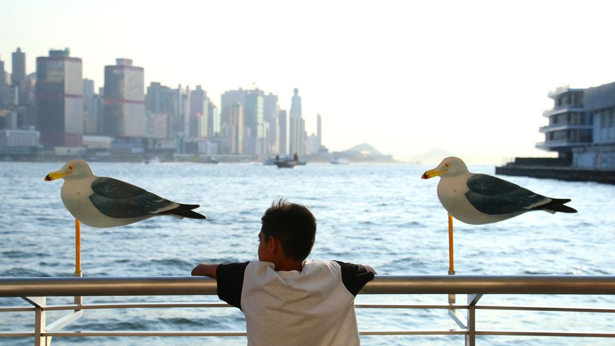 社會近年開始關心都市人身心健康。(資料圖片／林俊源攝)