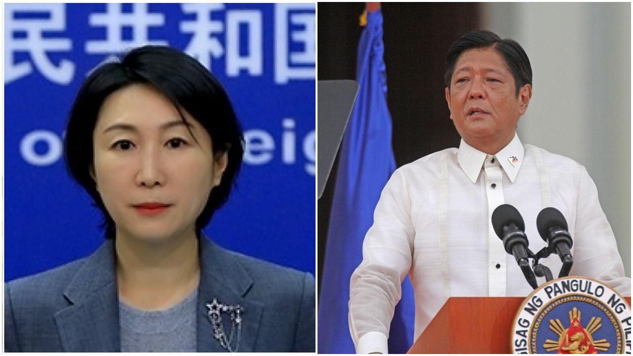 毛寧建議小馬可斯「多讀讀書」，菲防長：低級下流。(資料圖片)