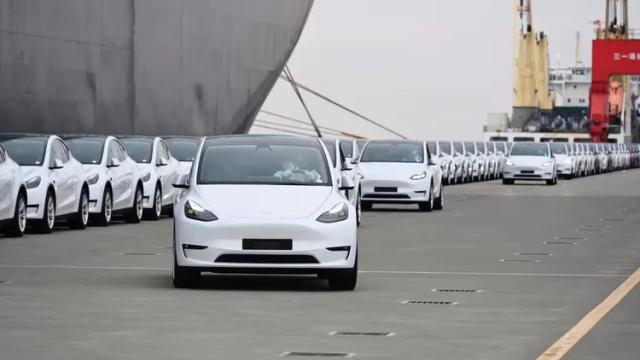 逾6000架Tesla新車有床蝨，抵澳洲貨輪遭退回上海。(X)
