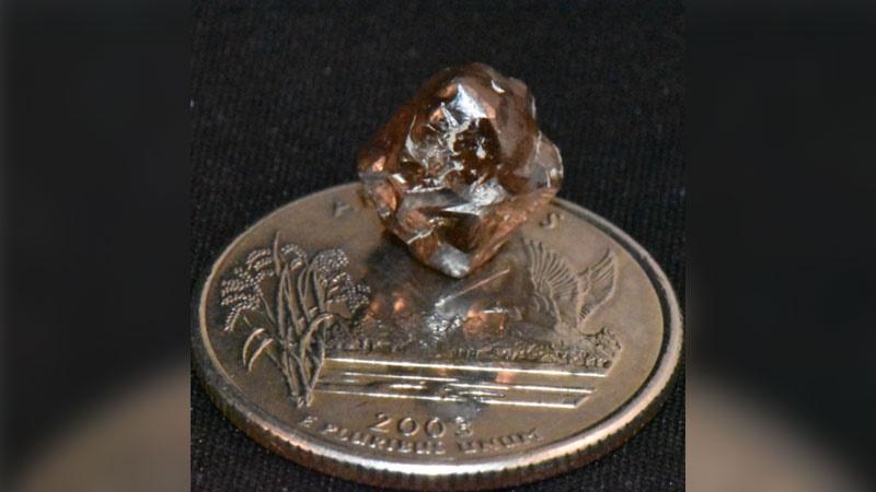 法男到美遊覽，挖到「公園史上第八大」7.46卡鑽石。(X)