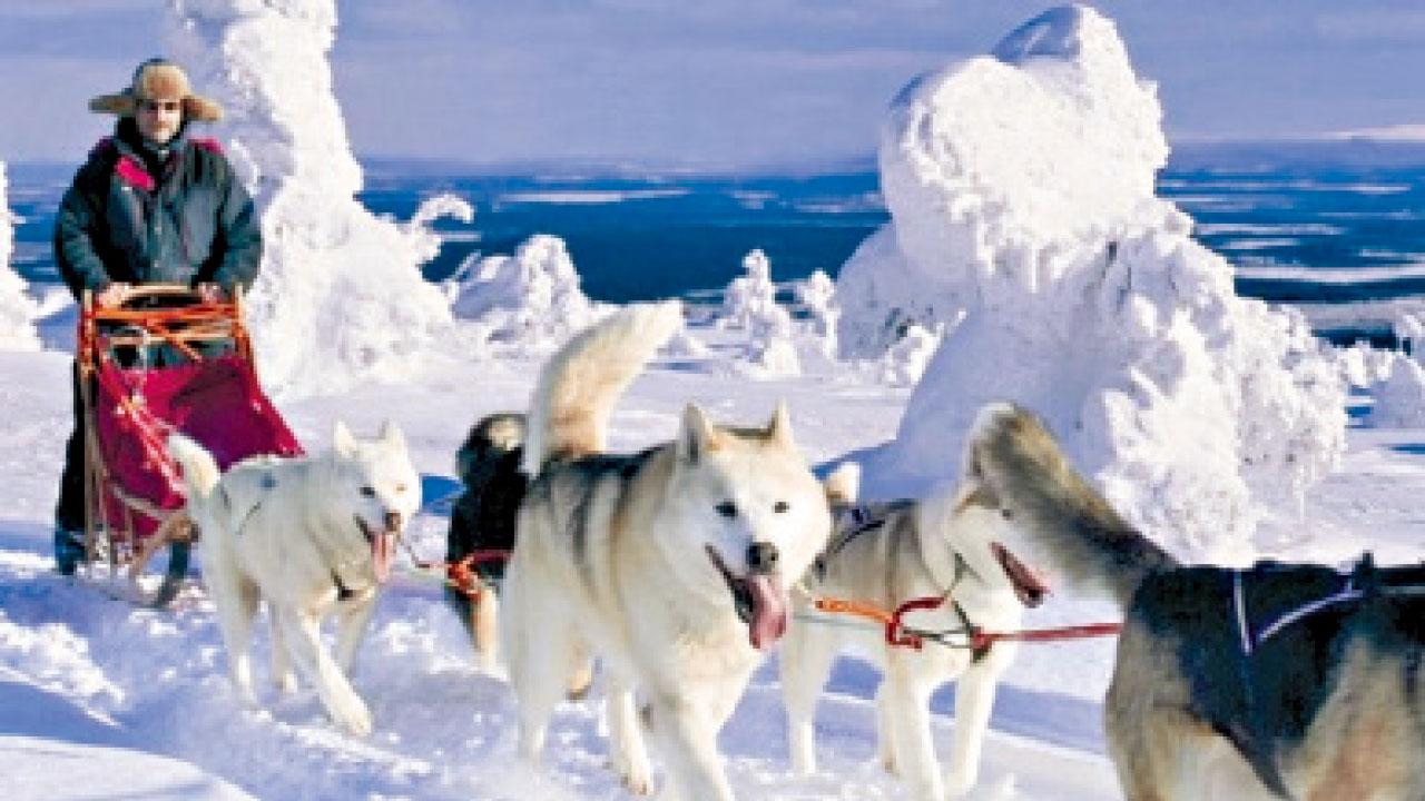 2大精選旅行團 特色民族體驗定睇極光 任君選擇