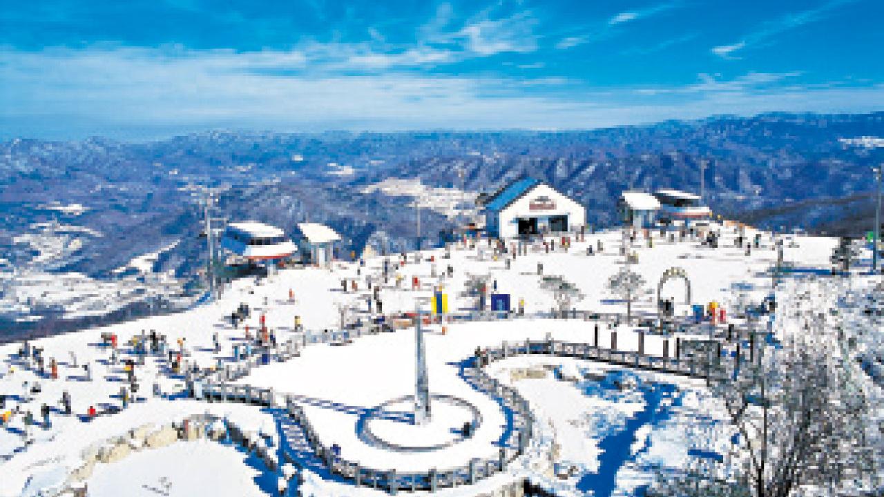 美麗華旅遊推農曆新年旅遊全攻略 5日團玩轉越南、韓國2大國家