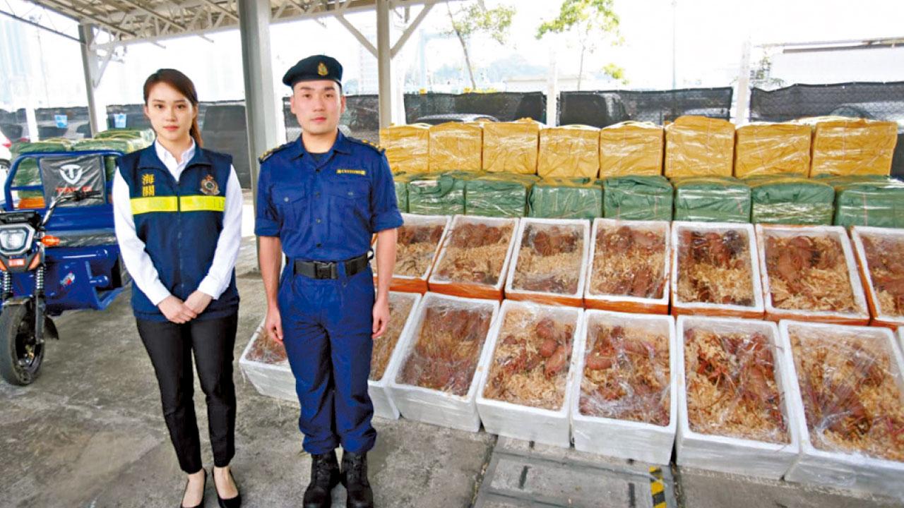涉大澳電動三輪車過貨快艇走私 海關檢3100公斤龍蝦