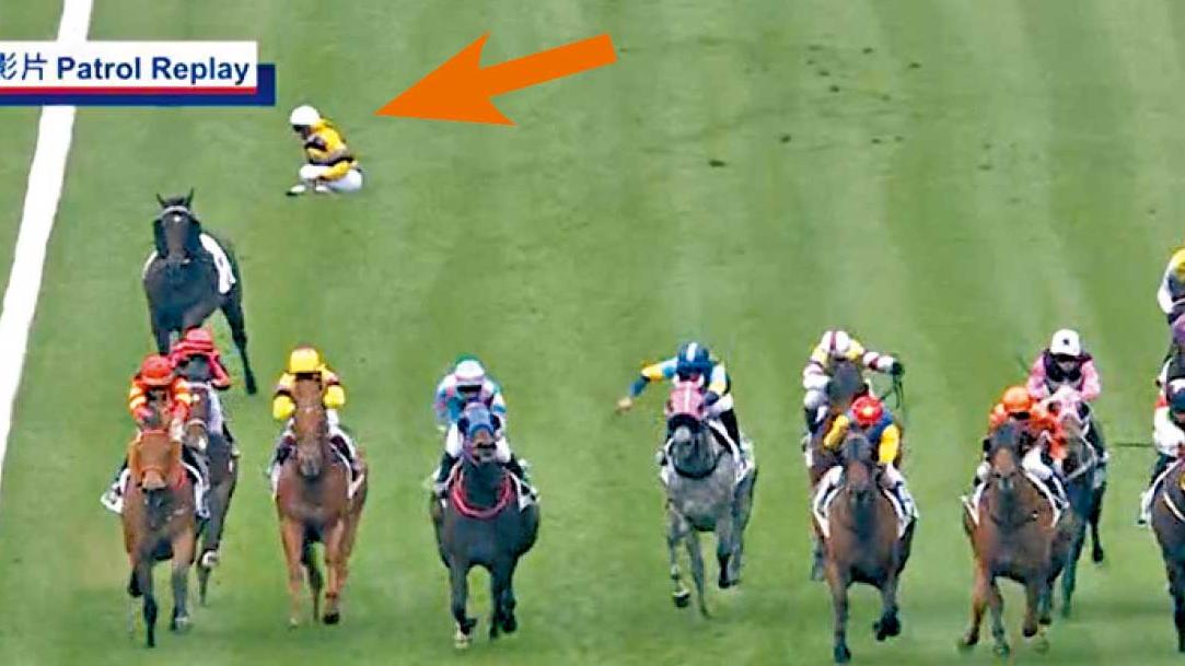 沙田馬場兩墮馬意外 「團結一心」傷重須人道處理