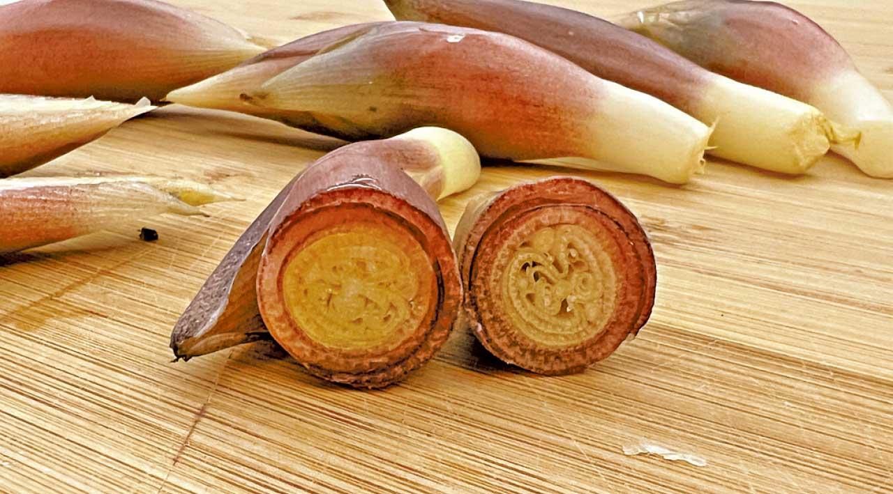 散發幽幽清香的茗荷