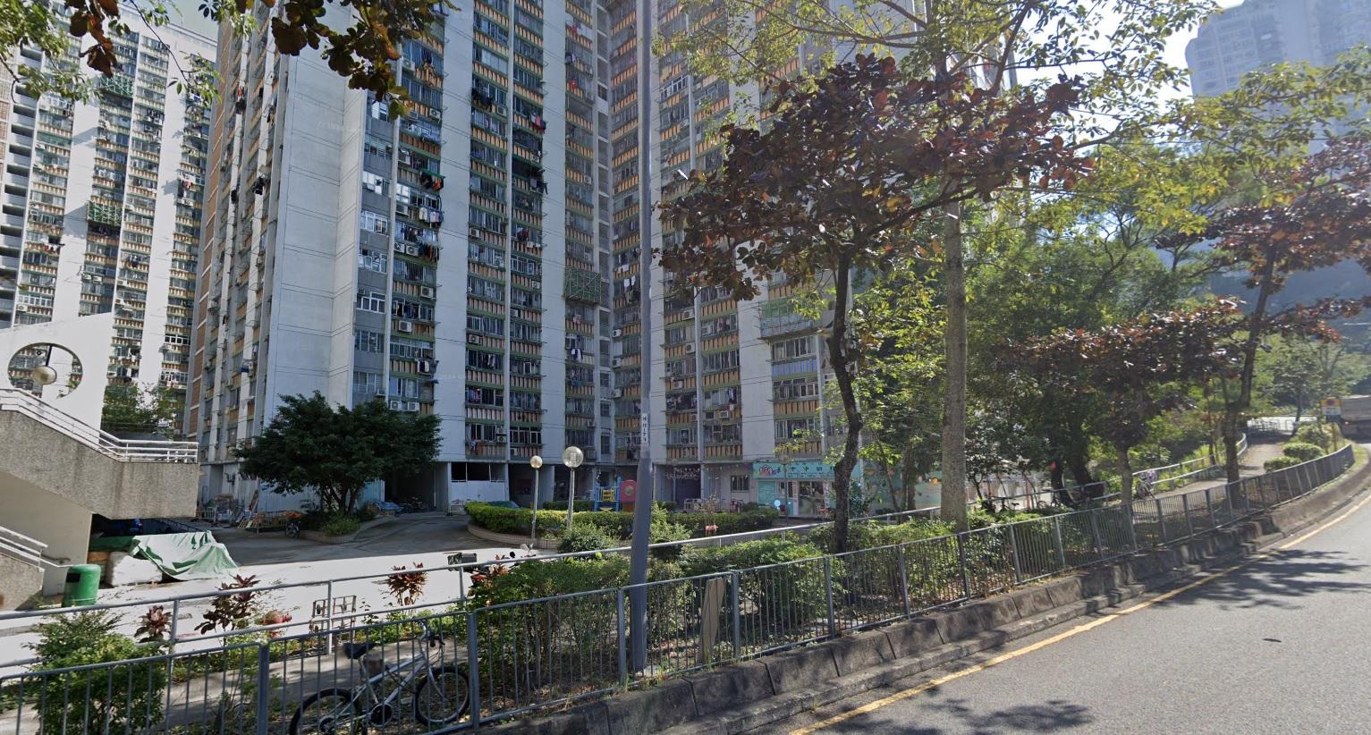 大圍隆亨邨貴婦犬墮樓倒斃天井　34歲女子被捕報稱不適