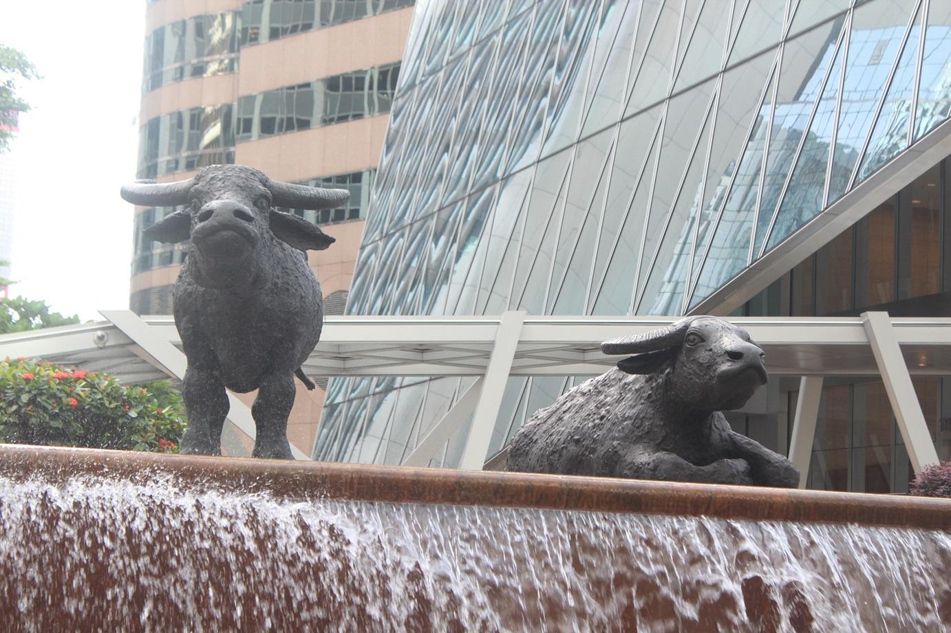 波動市的股份選擇