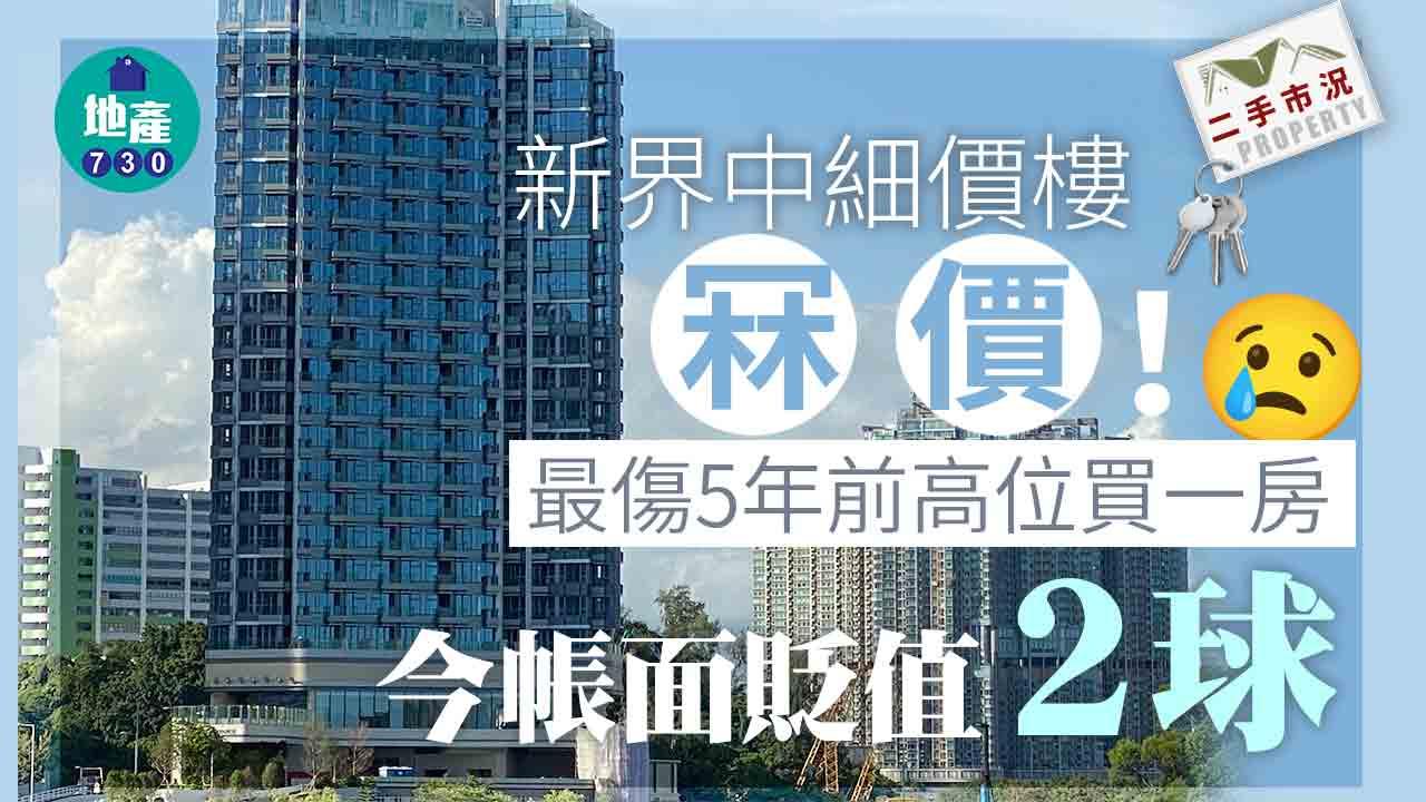 新界中細價樓冧價！5年前高位入市一房 今帳面慘輸「2球」｜二手市況