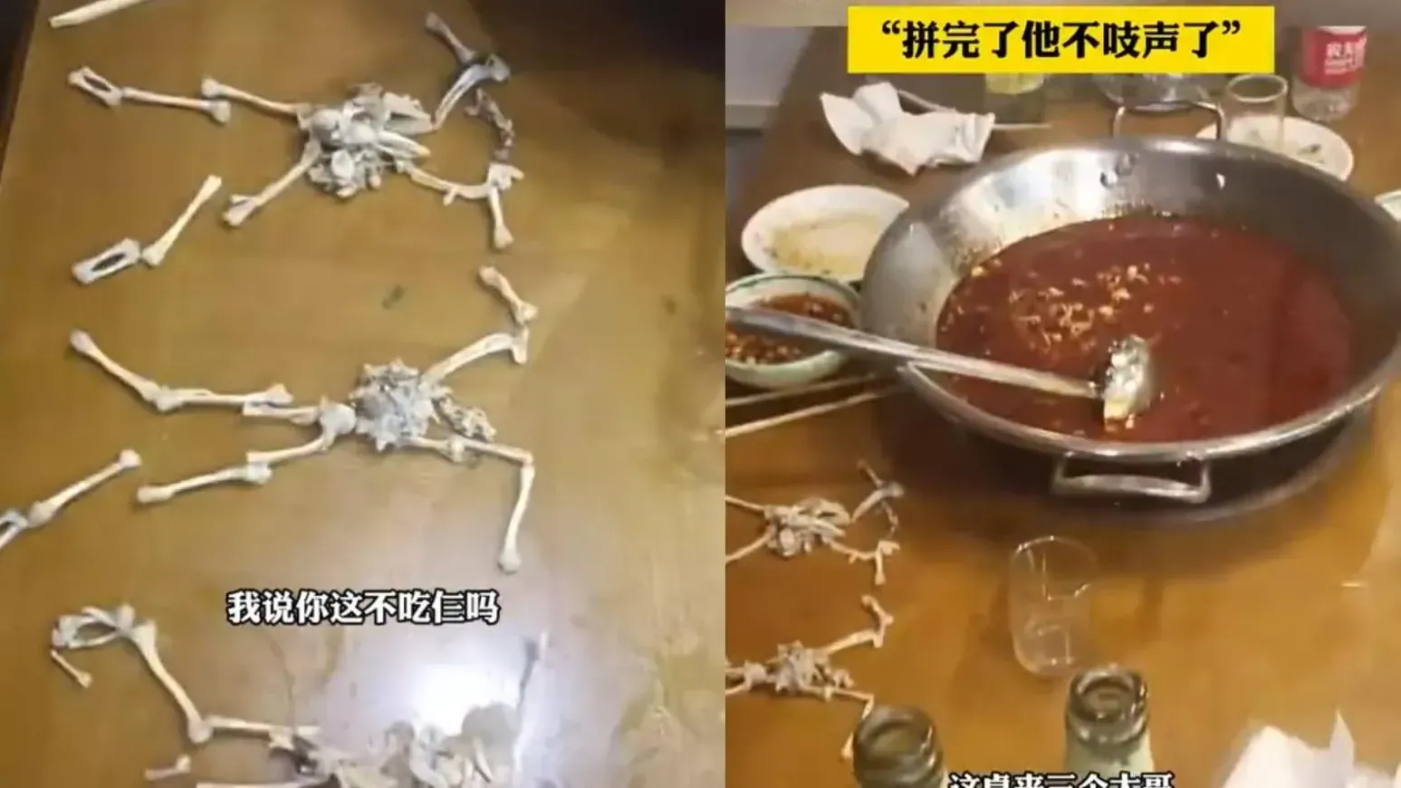 遼寧食客吃牛蛙火鍋投訴少1隻　老闆化身法醫當場拼骨證清白（有片）