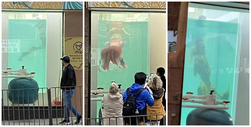 有網民留意到西營盤一間地舖門前的大水箱中，驚現「美人魚」落水表演，引來不少市民圍觀拍照，有網民笑言「以為係海鮮酒家」，原來是該地舖是香港第一間教授「美人魚水中舞」的學校。(fb西環變幻時)