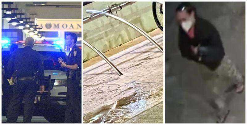 一名中國25歲女子周二(23日)晚上在夏威夷檀香山市區街頭行走時，被一名不明男子潑化學液體致重傷，她臉部、手臂和上半身燒傷，喉嚨和肺部亦因吸入化學液體而受傷，警方正追緝20歲左右的男兇徒。