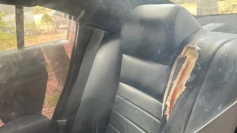 警方上載警車座位被咬爛的照片。(互聯網)