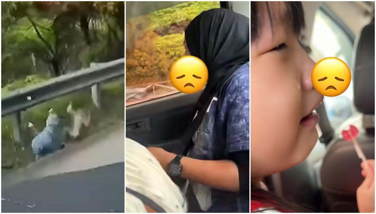 大馬女被馬騮打到一仆一碌，脫險後手震震，小孩嚇到爆喊。(FB)