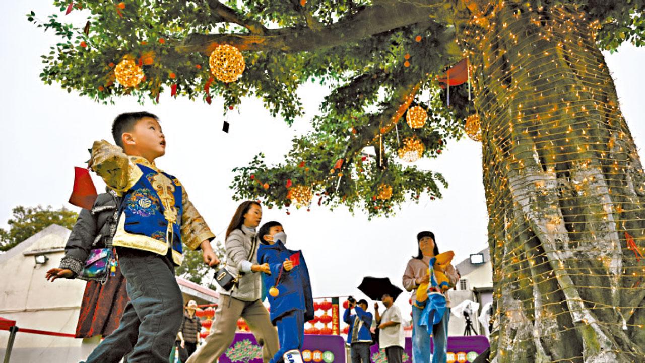 林村許願夜市昨開鑼 首設夜光許願樹發光寶牒