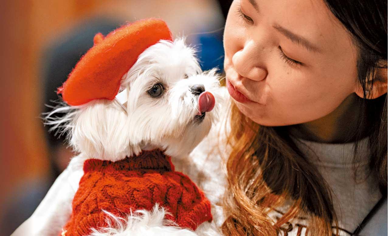 圖輯｜《人寵共融》