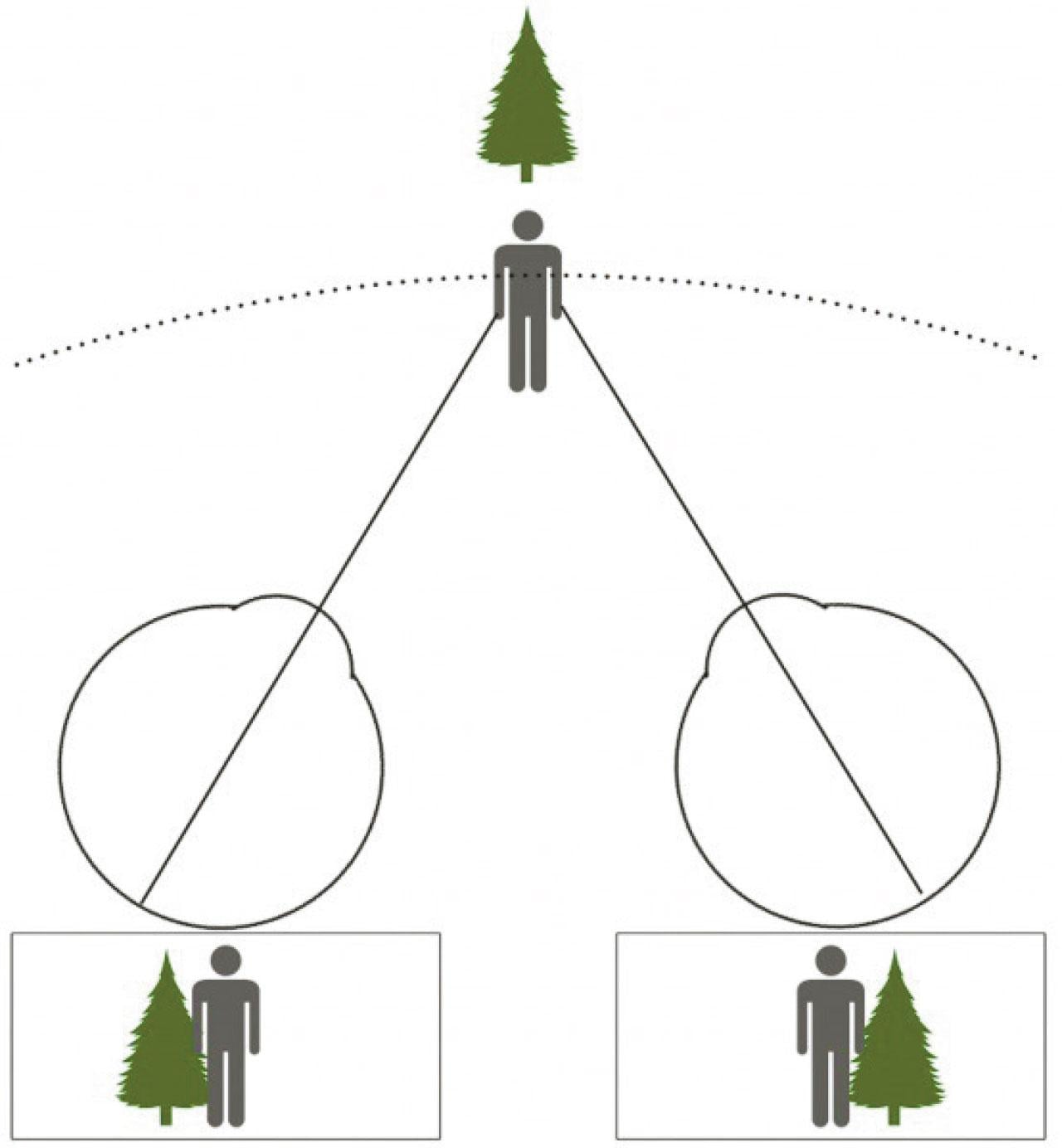 何謂立體視覺？